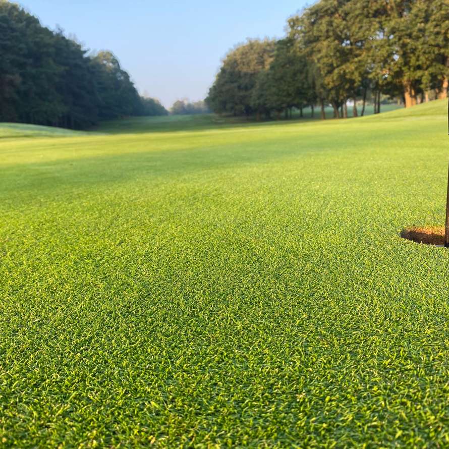 Graden CSI Kenilworth GC V (S Hardy)